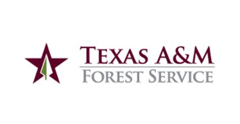 Texas to receive $21M in federal funding for urban forestry initiatives